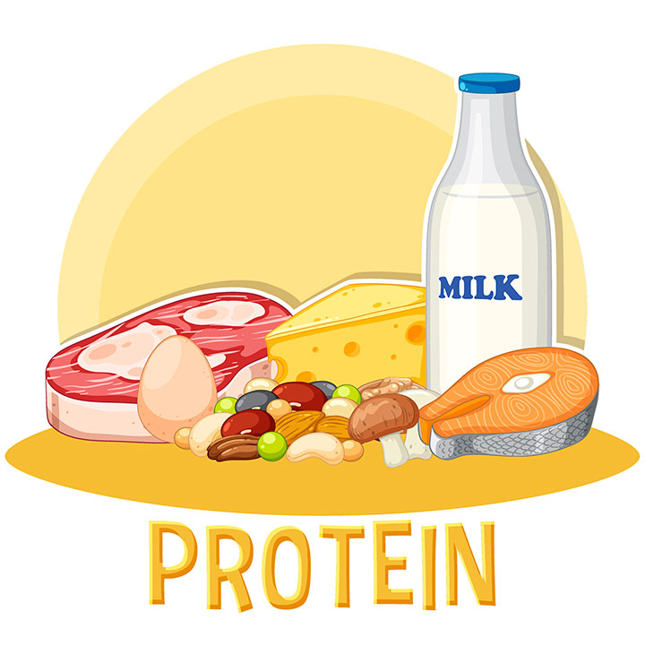Білки у продуктах харчування