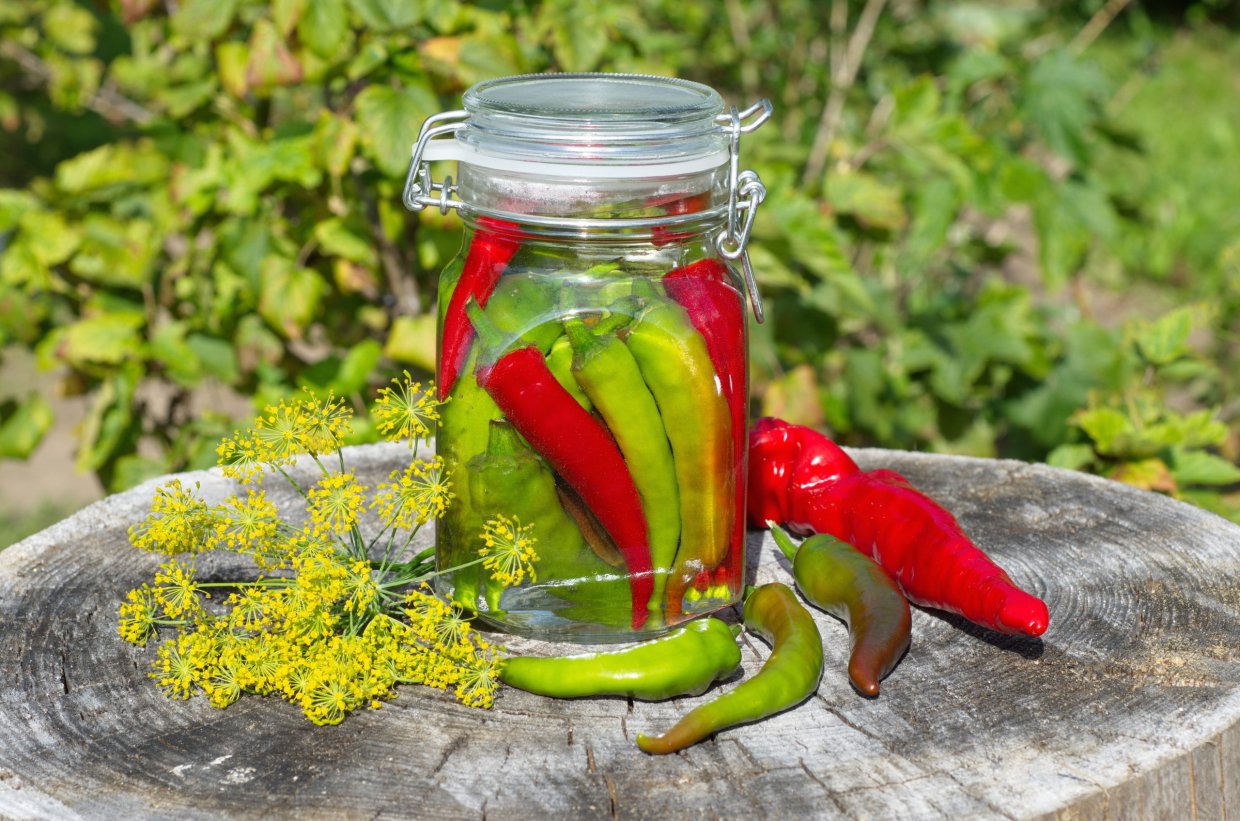 Маринований гіркий перець на зиму