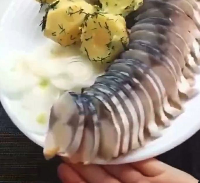Скумбрия