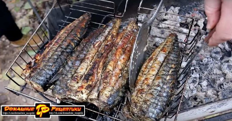 Скумбрия на мангале
