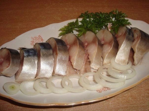 Солона скумбрія