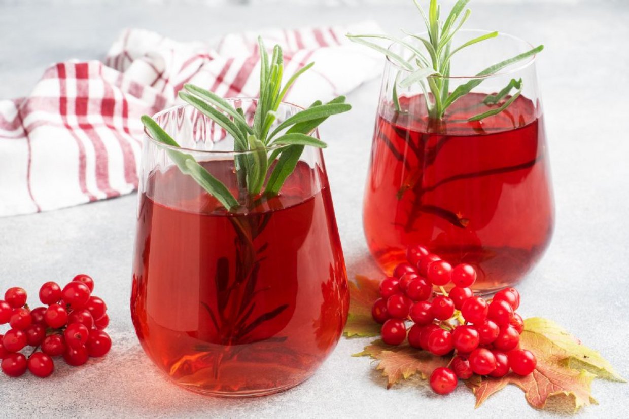 Сік з калини на зиму через соковижималку