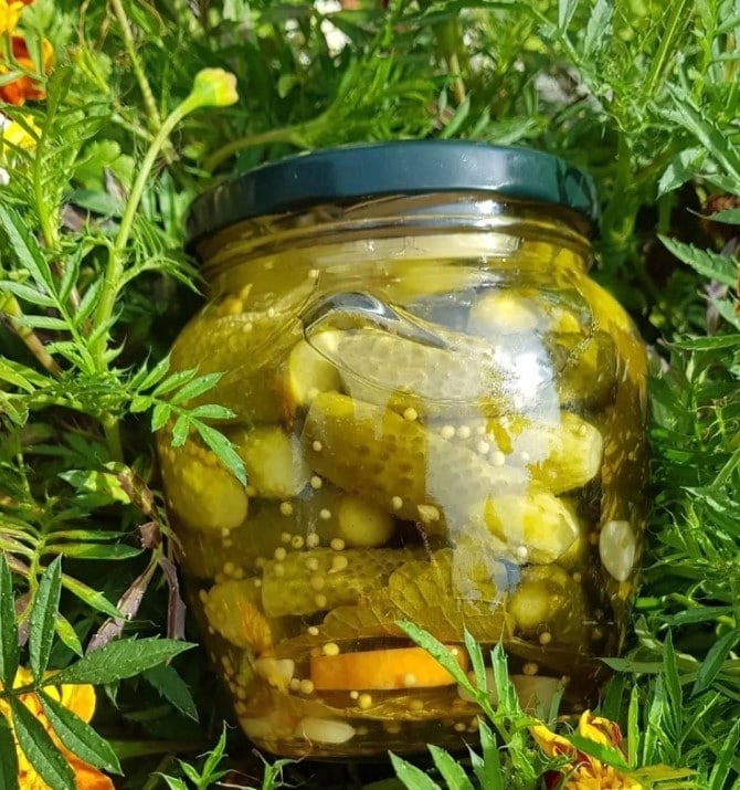 Мариновані огірки